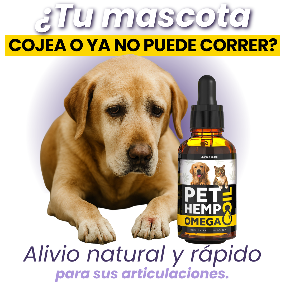 Suplemento para Perros y Gatos: CBD + Omega 3-6-9